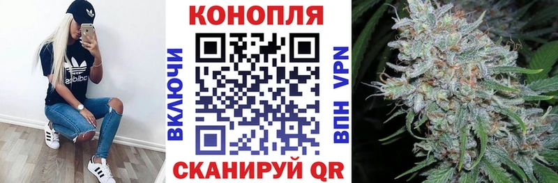 МАРИХУАНА сатива  Вяземский 